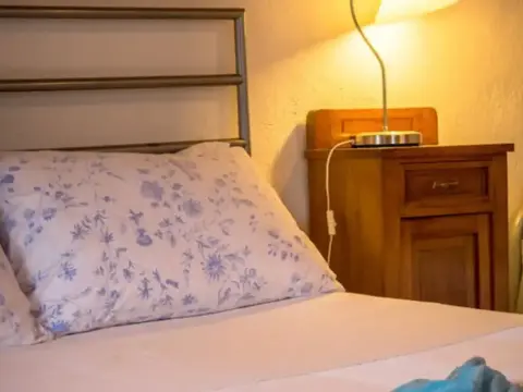 Mille Mandorli - Photo 4