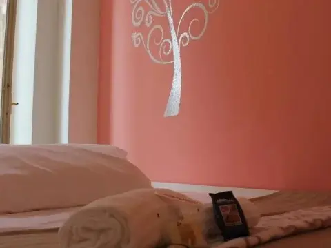 My Room Center Station - Foto 4