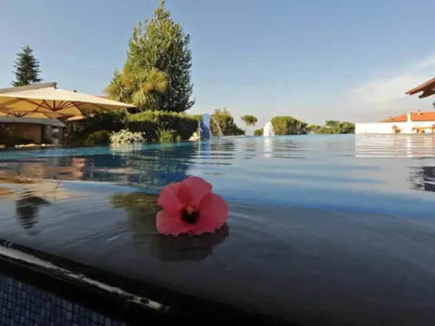 Nando al Pallone - Photo 4