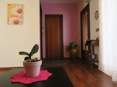 Naxos Enjoy Apartment - Photo 3