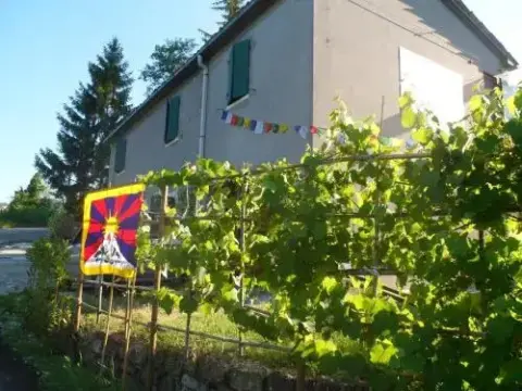 Nicoletta Spirito del Tibet - Photo 3