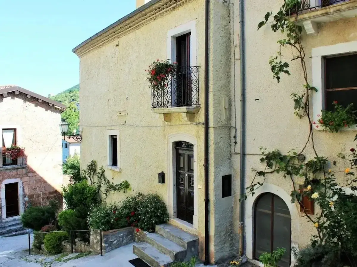 Orso - Parco Nazionale d'Abruzzo