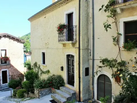 Orso - Parco Nazionale d'Abruzzo - Photo 1