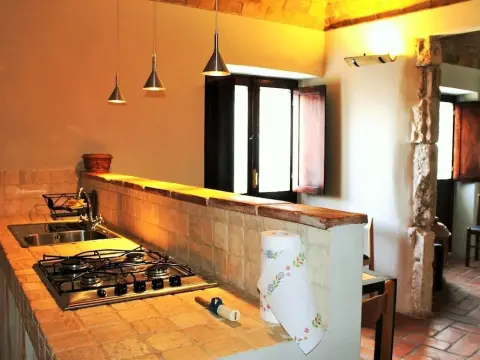 Orso - Parco Nazionale d'Abruzzo - Photo 3