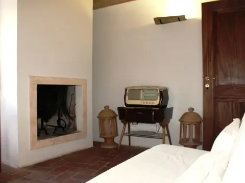 Orso - Parco Nazionale d'Abruzzo - Photo 4