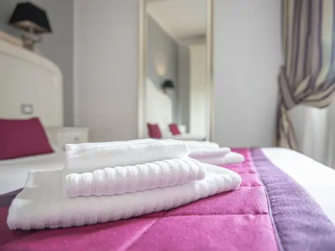 Domus Castrense Hotel - Photo 4