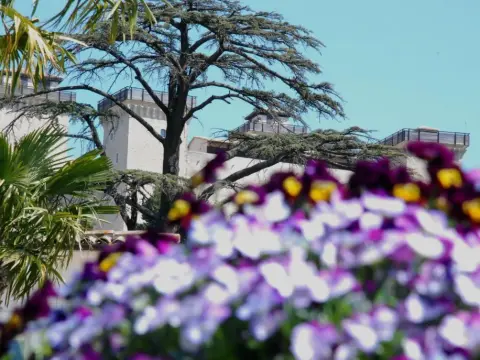 Palazzo Leti Residenza d'Epoca - Photo 3