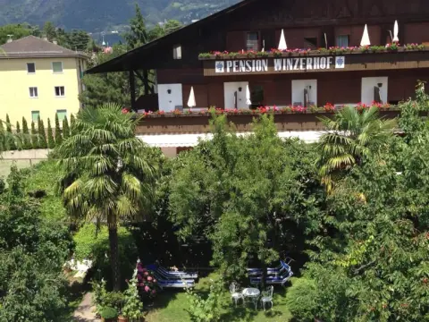 Pension Winzerhof - Photo 1