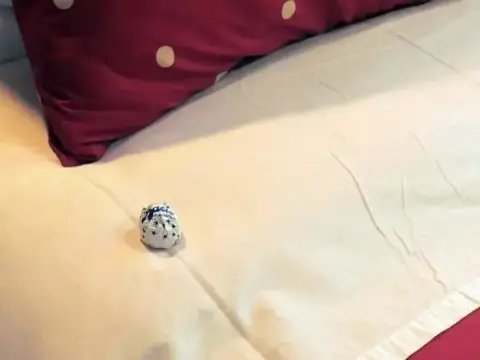 Podere Fonternaccia - Foto 3