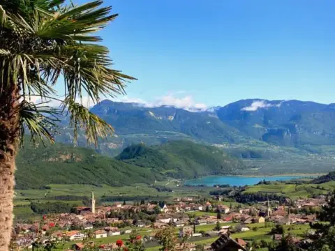 Premstalerhof - Photo 3