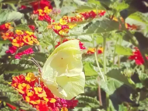 Quarto Paradiso B&B - Photo 4