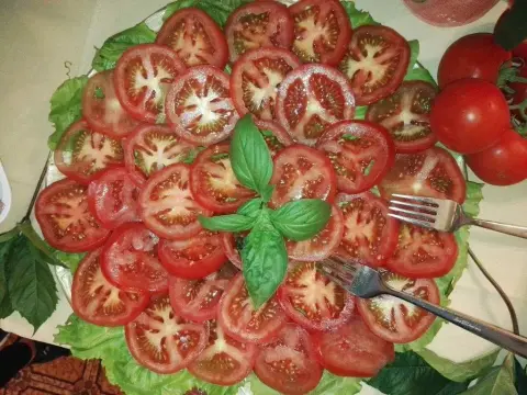 Residence Hotel Maxi - Photo 3