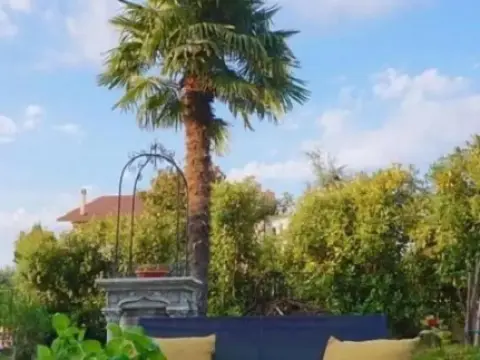 Residenza Il Cacao - Photo 4