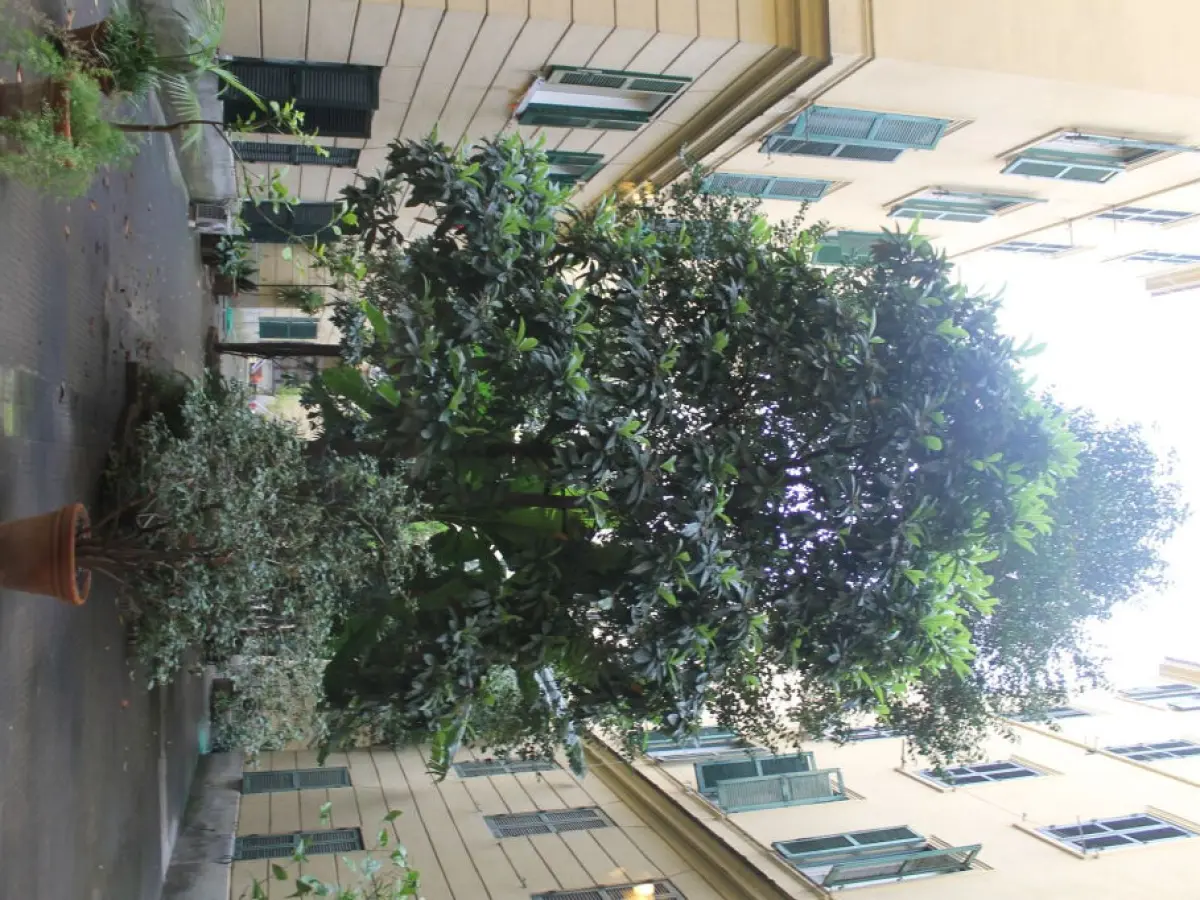 Rovati Guest House