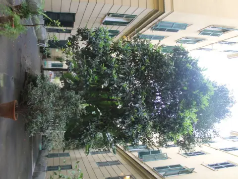 Rovati Guest House - Photo 1