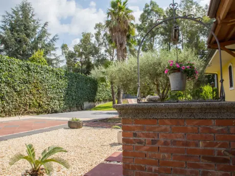 Sicily's View - Photo 2