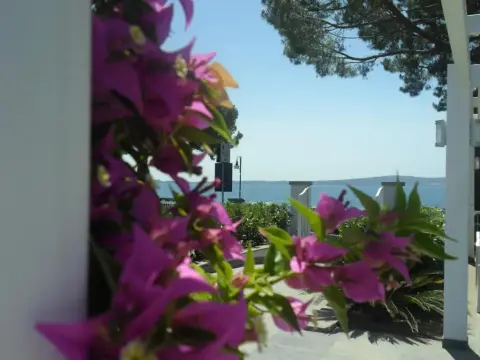 Skipper White Guest House - Photo 1