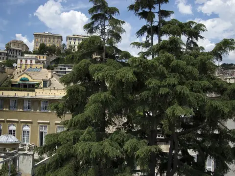 Sky On The Roofs - Il Cielo Sui Tetti - Photo 4