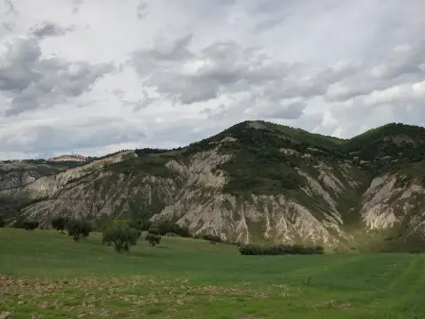 Società Agricola Zucchera S.S. - Photo 2