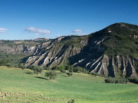 Società Agricola Zucchera S.S. - Photo 3