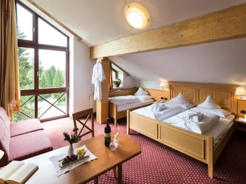 Sporthotel Alpenrose - Photo 3