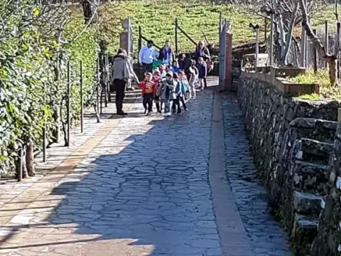 Tenuta Martino - Photo 3