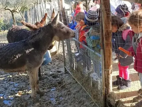 Tenuta Martino - Photo 1