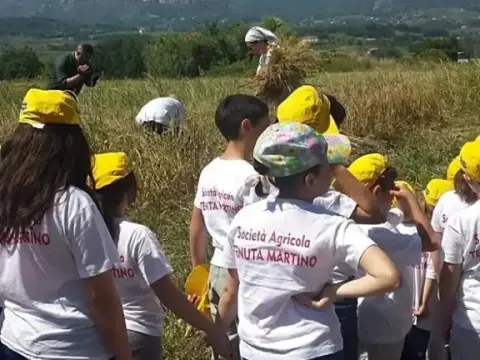 Tenuta Martino - Photo 4