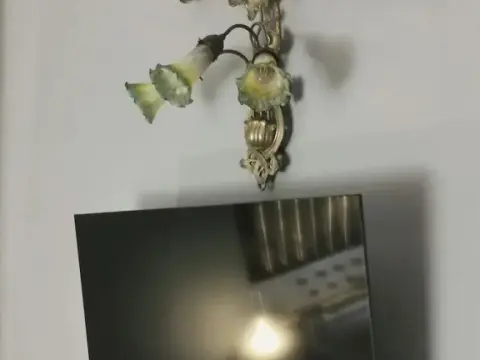 The Kraken Inn - Photo 3