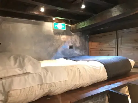 Urban Flowers - Photo 3