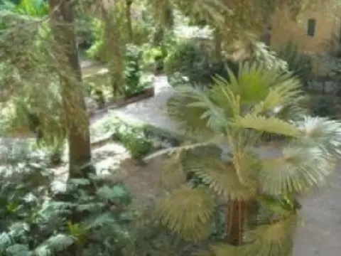 Vatican Vacation BB - Photo 1