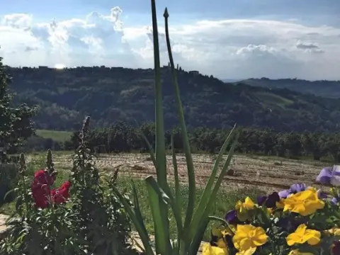 Villa Ada Rodello - Photo 1