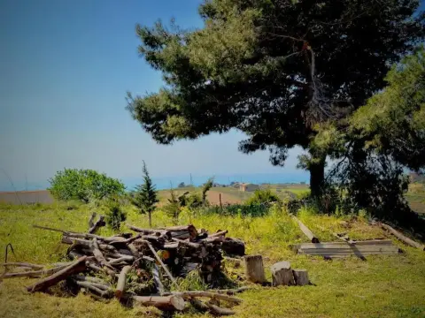 Villa Chiara - Foto 1