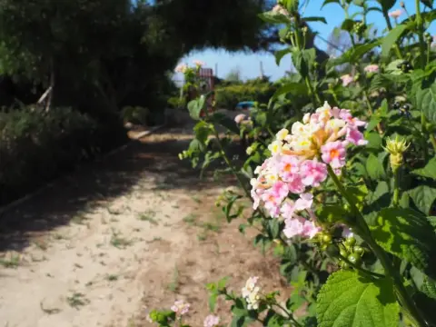 Villa Floridia - Photo 1