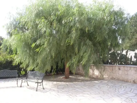 Villa Mafalda - Photo 2