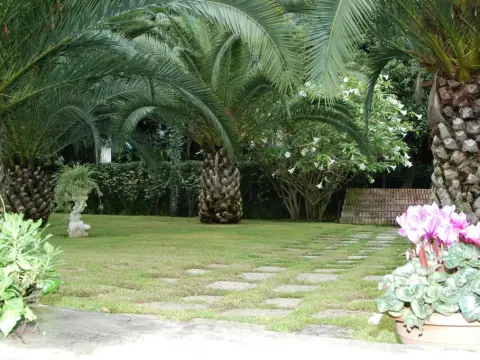 Villa Solaria - Photo 4