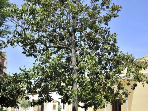Villa Stajano - Photo 1