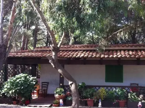 Villaggio Camping Le Mimose - Photo 3