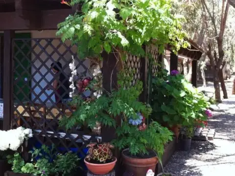 Villaggio Camping Le Mimose - Photo 4