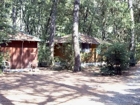 Villaggio Club Cecina - Photo 2