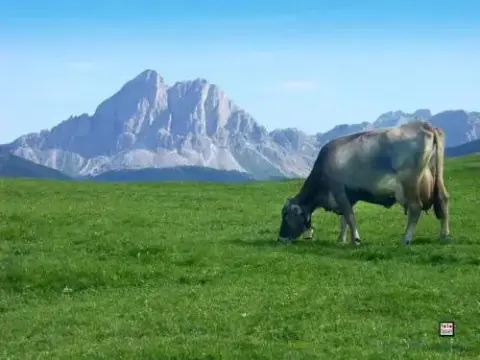Vitroler Hof - Foto 4