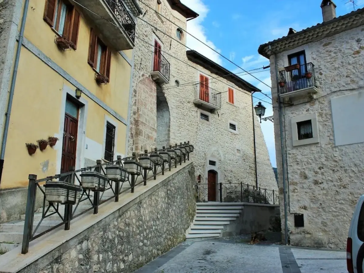 Volpe - Parco Nazionale d'Abruzzo