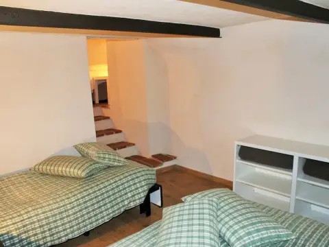 Volpe - Parco Nazionale d'Abruzzo - Photo 2