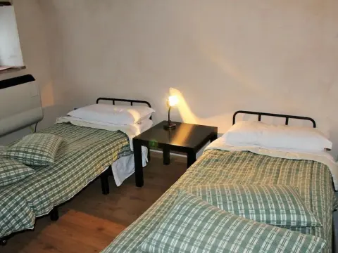 Volpe - Parco Nazionale d'Abruzzo - Photo 3