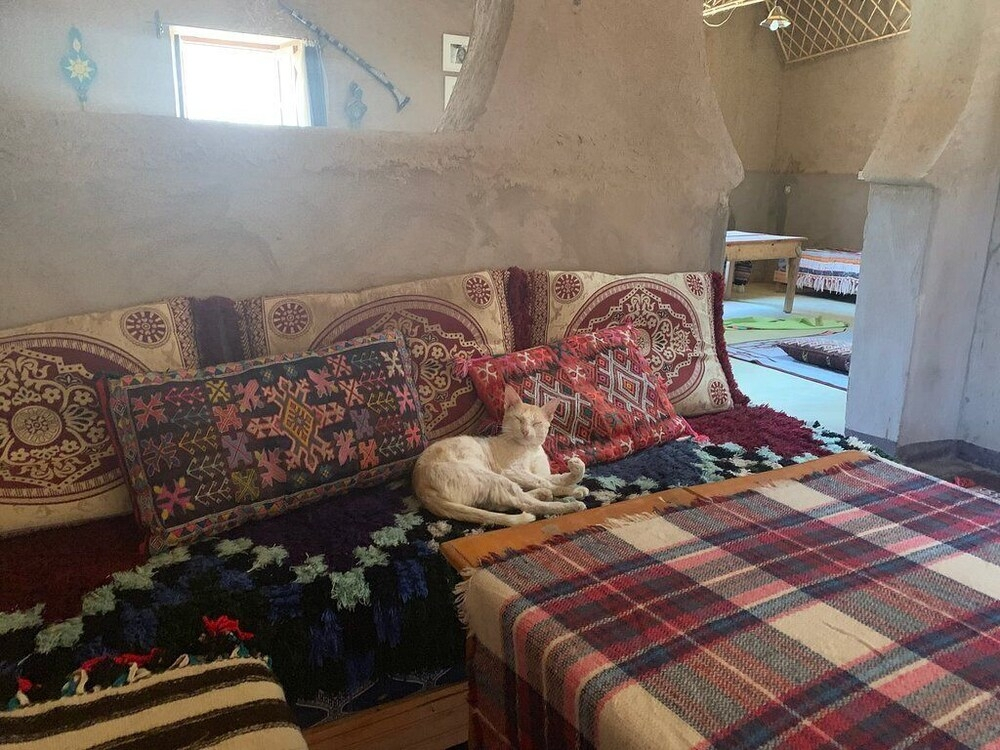 Hostel Wilderness Lodge - Photo 2