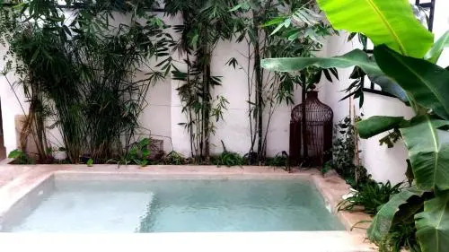 Housing Marrakech Chez Rachid - Photo 2