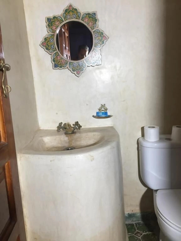 Le Sauvage Noble - Photo 4