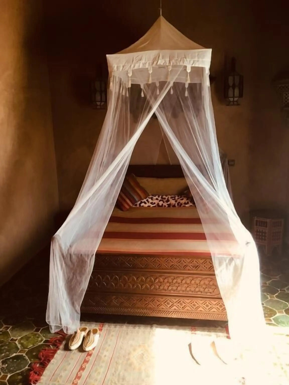 Le Sauvage Noble - Photo 1