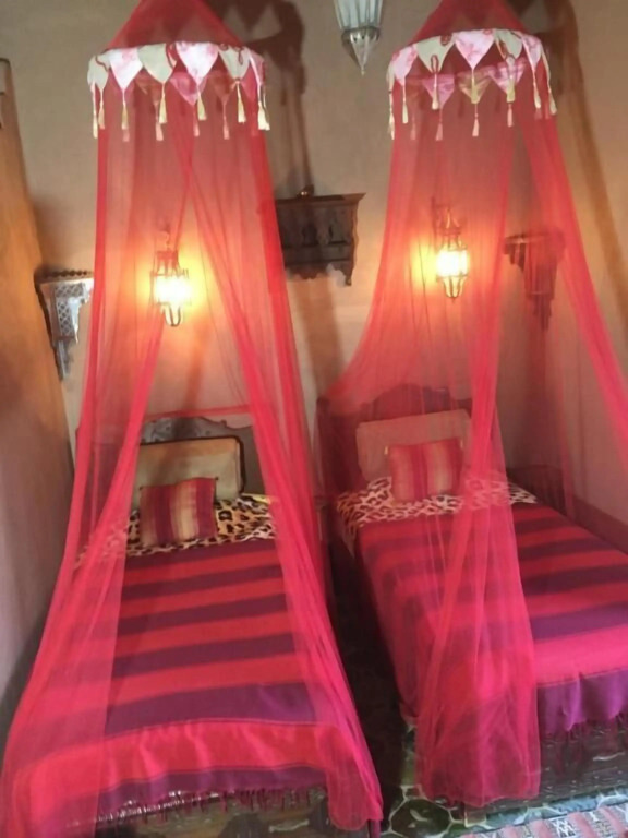 Le Sauvage Noble - Photo 2