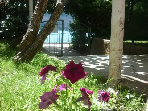 vila Kamelija - Foto 3